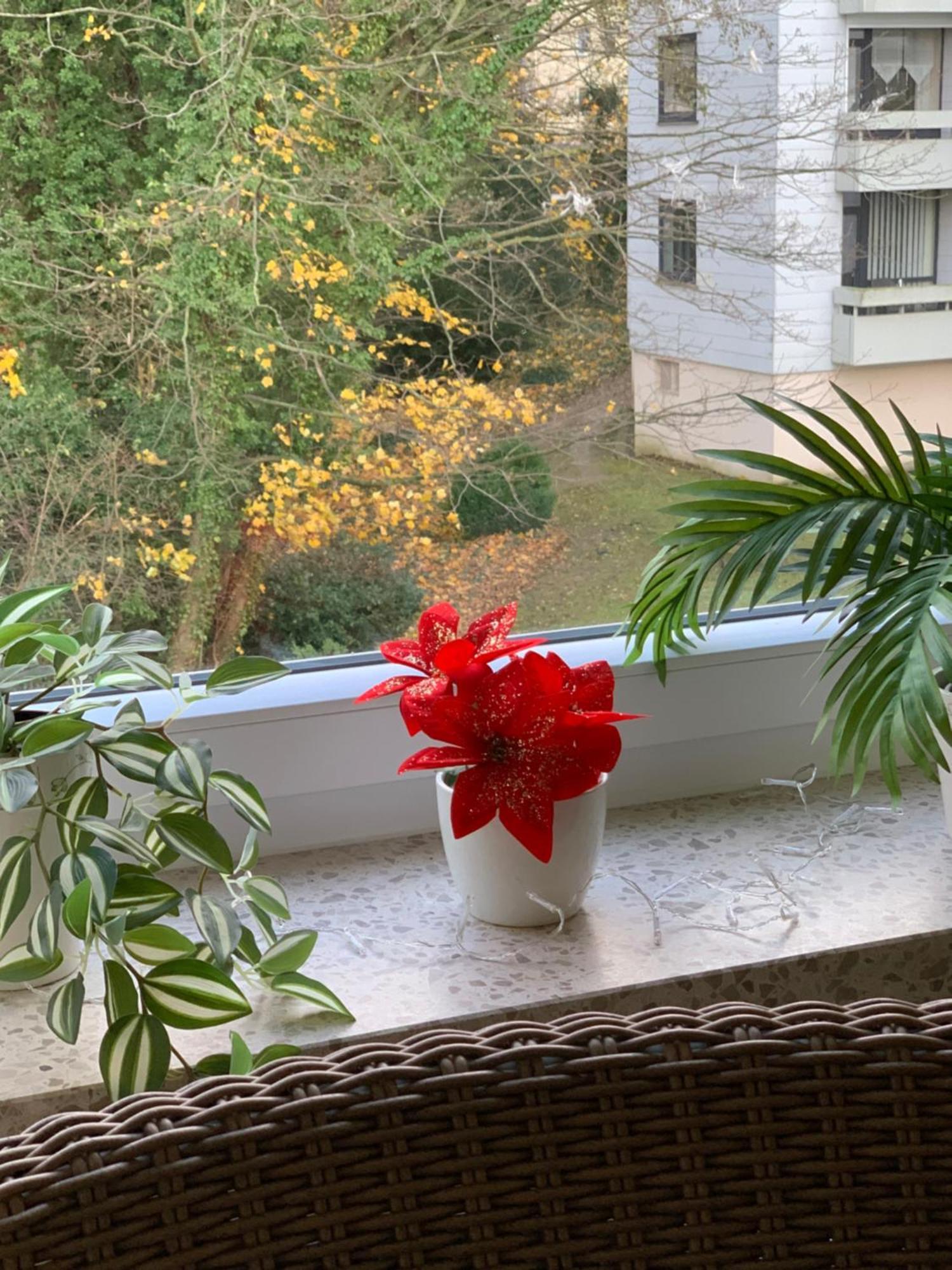 Ferienwohnung Doretta 바트하르추부르크 외부 사진